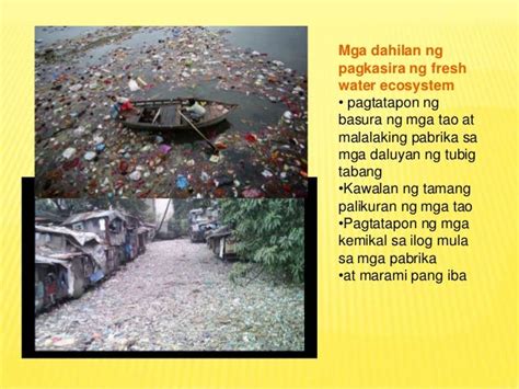 Kung saan pupunta para sa isang weekend sa kalikasan. Kung .